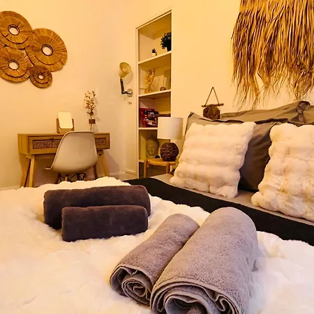 Le Petit Millésime - Homillesime Appartement Dijon