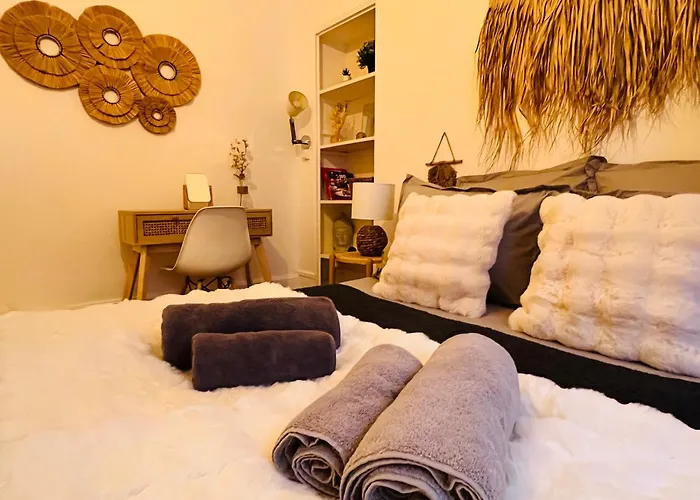 Le Petit Millésime - Homillesime Appartement Dijon